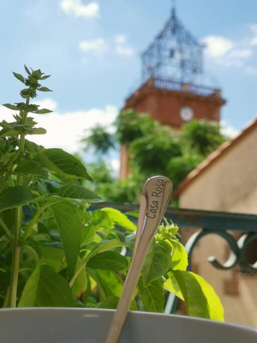 Casa Rosa, Un Petit Cocon Catalan Βίλα Ortaffa Εξωτερικό φωτογραφία