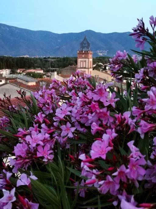 Casa Rosa, Un Petit Cocon Catalan Βίλα Ortaffa Εξωτερικό φωτογραφία